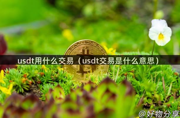 usdt用什么交易（usdt交易是什么意思）