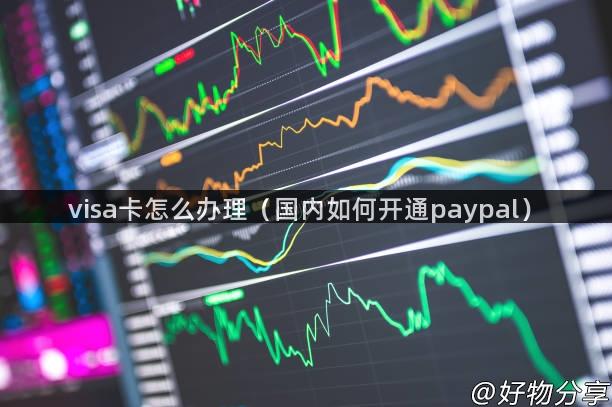 visa卡怎么办理（国内如何开通paypal）