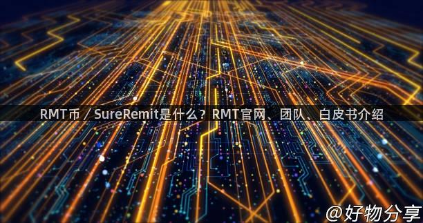 RMT币／SureRemit是什么？RMT官网、团队、白皮书介绍