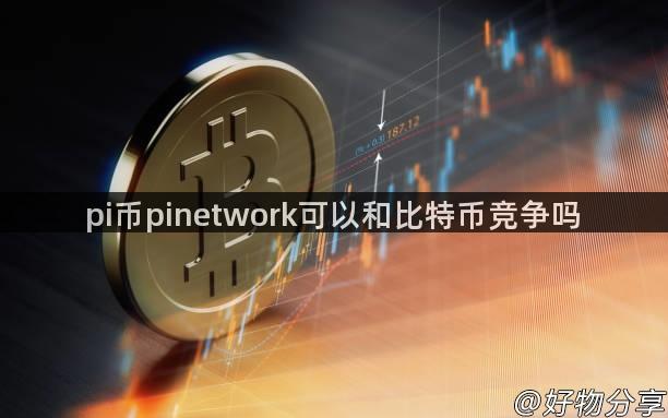 pi币pinetwork可以和比特币竞争吗