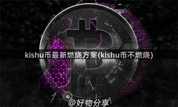 kishu币最新燃烧方案(kishu币不燃烧)