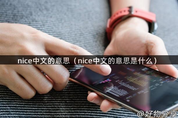 nice中文的意思（nice中文的意思是什么）