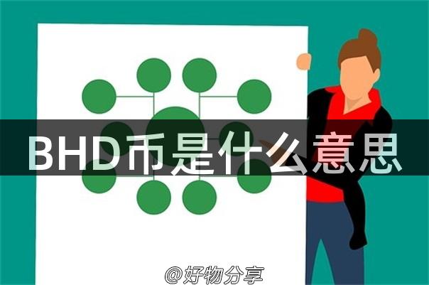 BHD币是什么意思