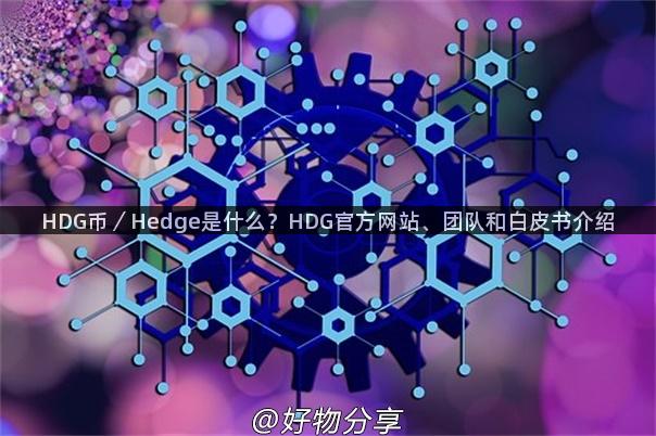 HDG币／Hedge是什么？HDG官方网站、团队和白皮书介绍