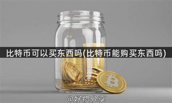 比特币可以买东西吗(比特币能购买东西吗)