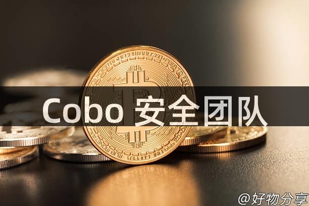 Cobo 安全团队