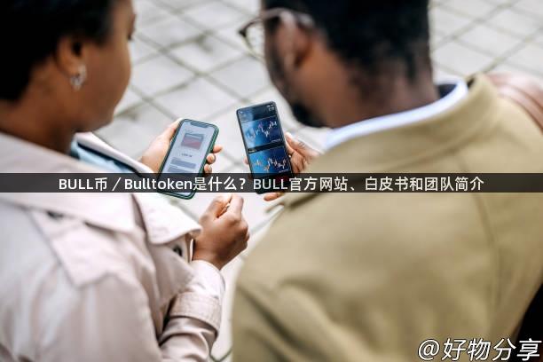 BULL币／Bulltoken是什么？BULL官方网站、白皮书和团队简介