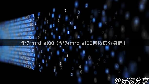 华为mrd-al00（华为mrd-al00有微信分身吗）