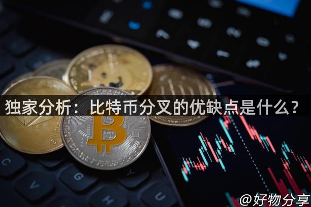 独家分析：比特币分叉的优缺点是什么？