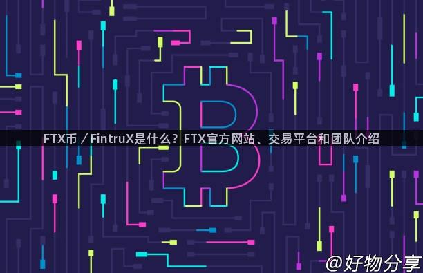 FTX币／FintruX是什么？FTX官方网站、交易平台和团队介绍