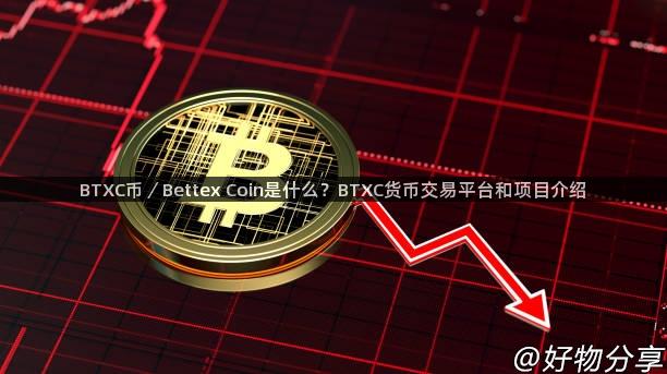 BTXC币／Bettex Coin是什么？BTXC货币交易平台和项目介绍