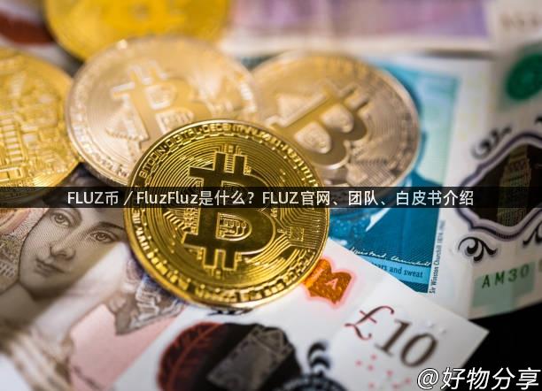 FLUZ币／FluzFluz是什么？FLUZ官网、团队、白皮书介绍