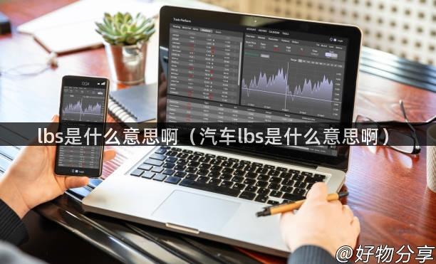 lbs是什么意思啊（汽车lbs是什么意思啊）