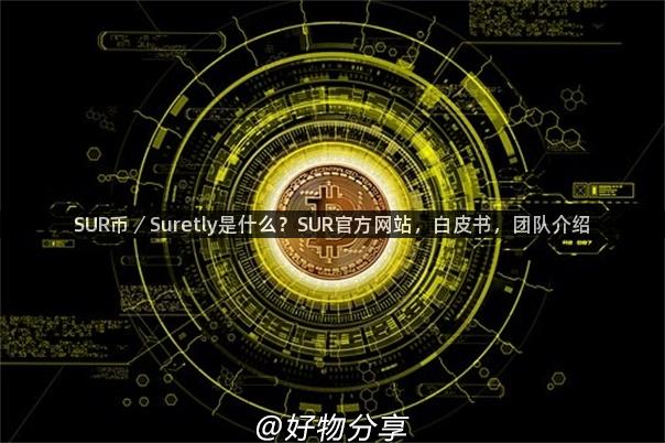 SUR币／Suretly是什么？SUR官方网站，白皮书，团队介绍