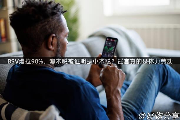 BSV爆拉90%，澳本聪被证明是中本聪？谣言真的是体力劳动