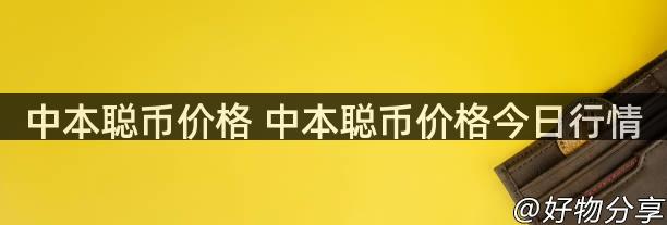 中本聪币价格 中本聪币价格今日行情