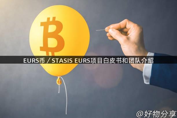 EURS币／STASIS EURS项目白皮书和团队介绍