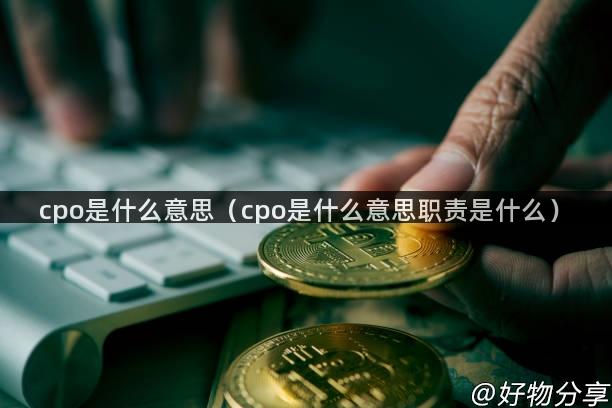 cpo是什么意思（cpo是什么意思职责是什么）