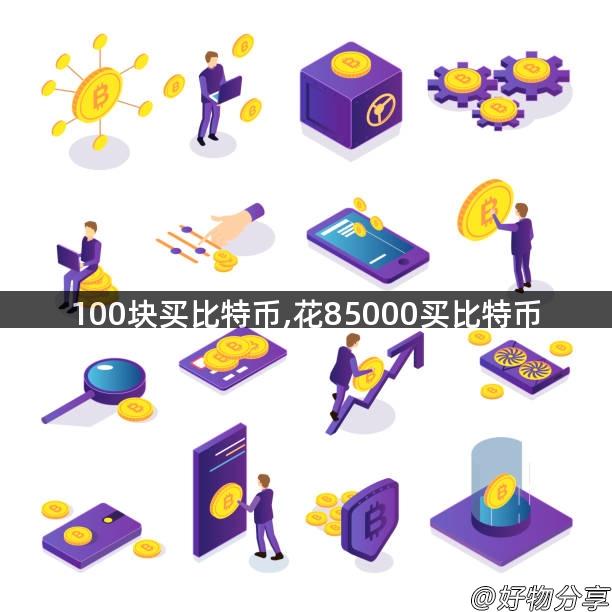 100块买比特币,花85000买比特币