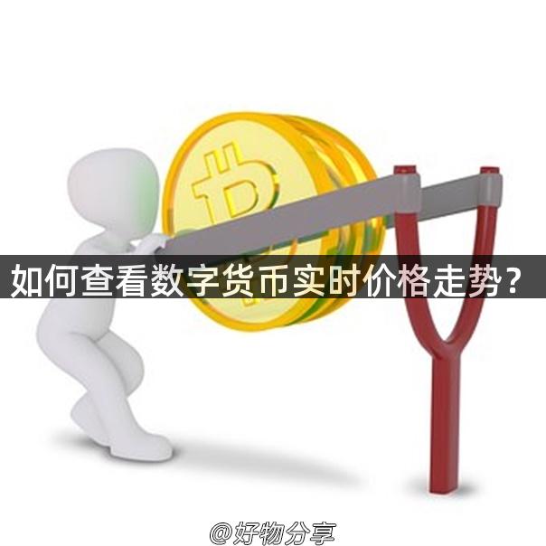 如何查看数字货币实时价格走势？