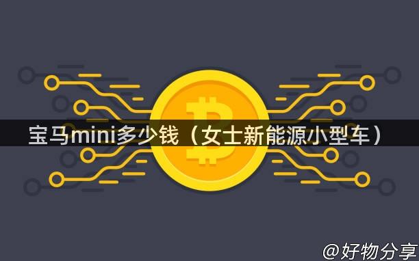 宝马mini多少钱（女士新能源小型车）