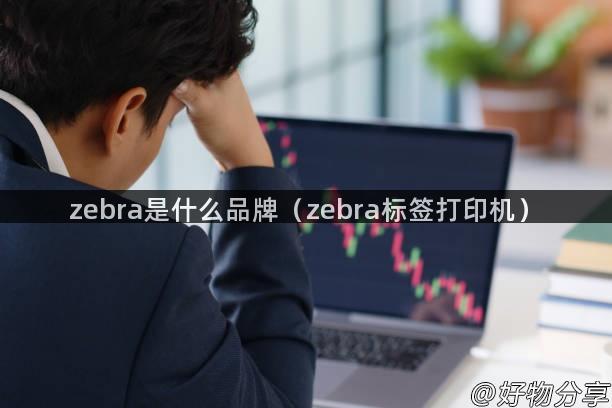 zebra是什么品牌（zebra标签打印机）