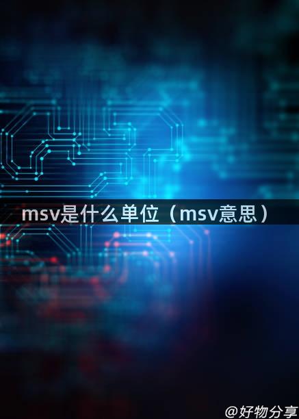 msv是什么单位（msv意思）