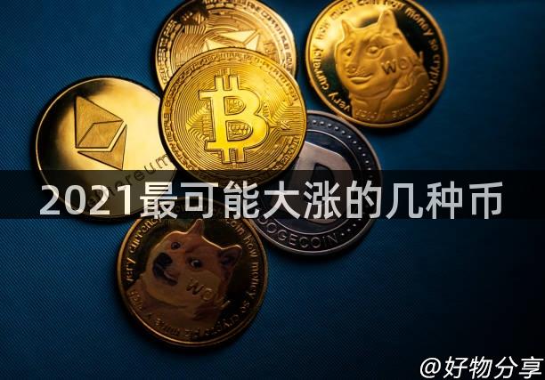 2021最可能大涨的几种币