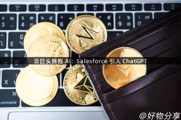 云巨头拥抱 AI：Salesforce 引入 ChatGPT