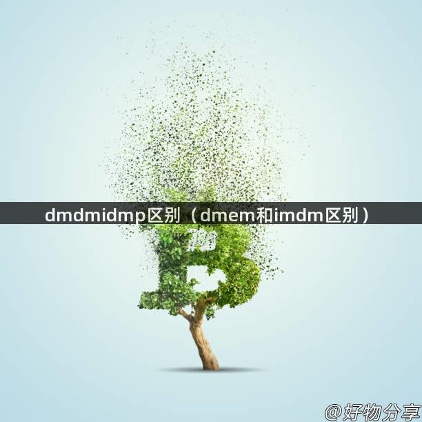 dmdmidmp区别（dmem和imdm区别）