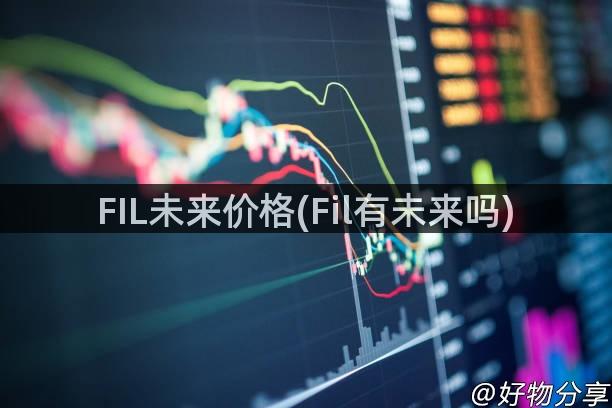 FIL未来价格(Fil有未来吗)