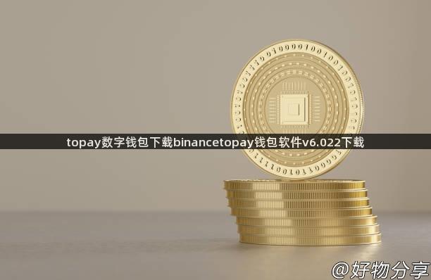 topay数字钱包下载binancetopay钱包软件v6.022下载