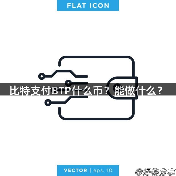 比特支付BTP什么币？能做什么？