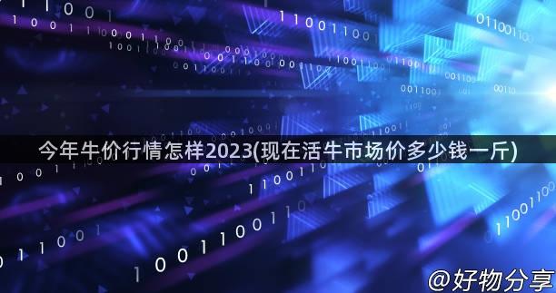 今年牛价行情怎样2023(现在活牛市场价多少钱一斤)