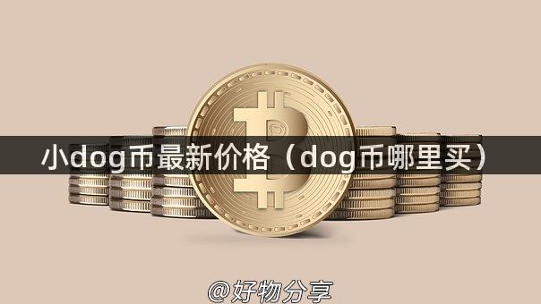 小dog币最新价格（dog币哪里买）