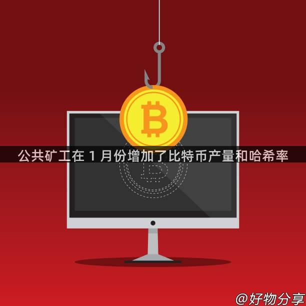 公共矿工在 1 月份增加了比特币产量和哈希率