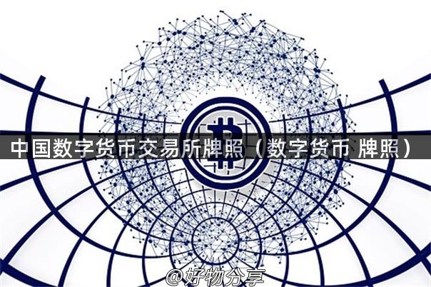 中国数字货币交易所牌照（数字货币 牌照）