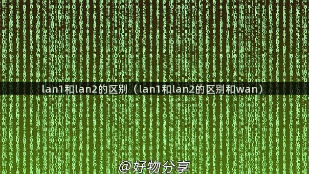 lan1和lan2的区别（lan1和lan2的区别和wan）