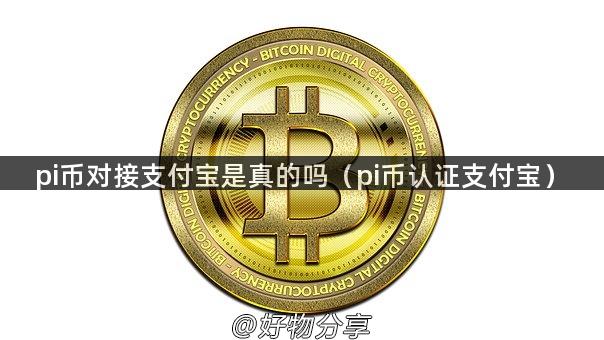 pi币对接支付宝是真的吗（pi币认证支付宝）