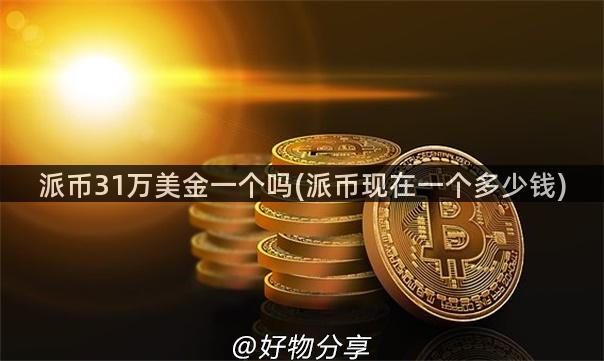 派币31万美金一个吗(派币现在一个多少钱)