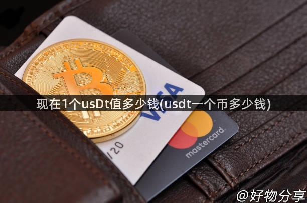 现在1个usDt值多少钱(usdt一个币多少钱)