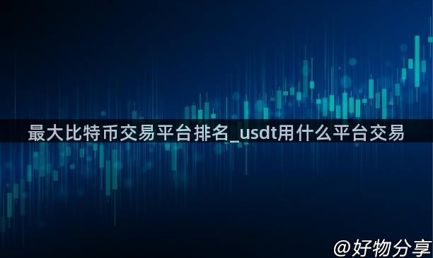 最大比特币交易平台排名_usdt用什么平台交易