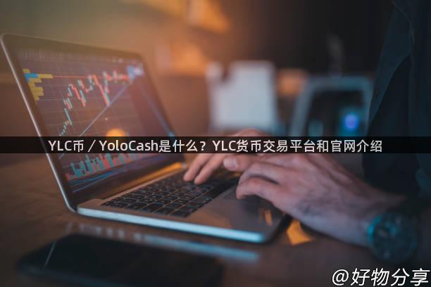 YLC币／YoloCash是什么？YLC货币交易平台和官网介绍