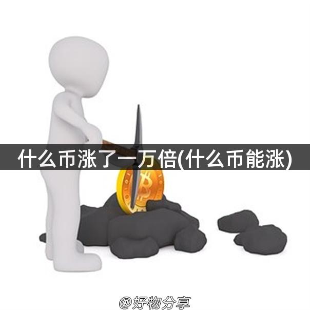 什么币涨了一万倍(什么币能涨)