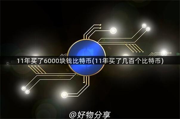 11年买了6000块钱比特币(11年买了几百个比特币)