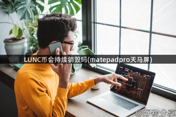 LUNC币会持续销毁吗(matepadpro天马屏)