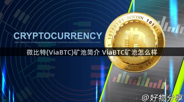 微比特(ViaBTC)矿池简介 ViaBTC矿池怎么样