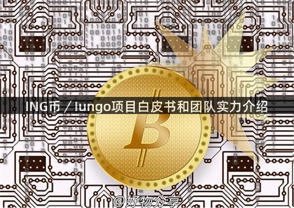 ING币／Iungo项目白皮书和团队实力介绍