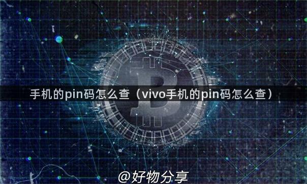 手机的pin码怎么查（vivo手机的pin码怎么查）