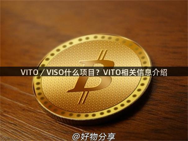 VITO／VISO什么项目？VITO相关信息介绍